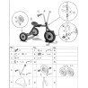 Petit Tricycle 442