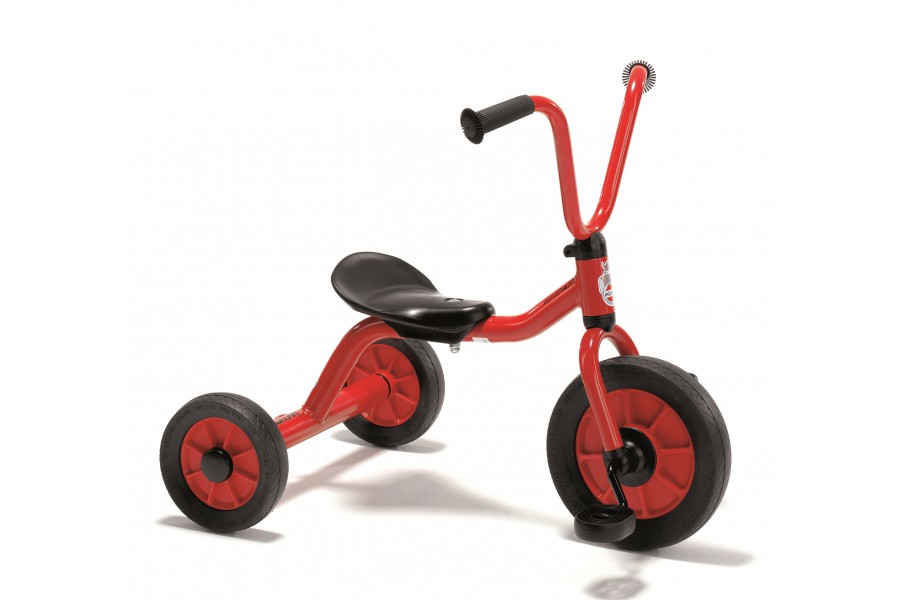 Mini tricycle