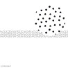 Ruban en papier imprimé Pois noir & blanc 11002299 ARTEMIO