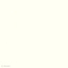 Papier Bazzill texturé toile scrapbooking et loisirs créatifs- 21 couleurs - ARTEMIO 11111001