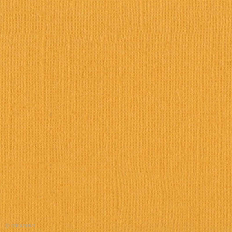 Papier Bazzill texturé toile scrapbooking et loisirs créatifs Beeswax - 21 couleurs - ARTEMIO 11110437