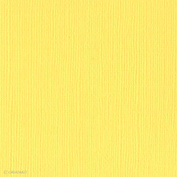Papier Bazzill texturé toile scrapbooking et loisirs créatifs Lemonade - 21 couleurs - ARTEMIO 11110426