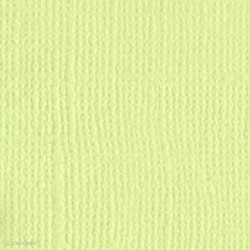 Papier Bazzill texturé toile scrapbooking et loisirs créatifs Aloe Vera - 21 couleurs - ARTEMIO 11110506