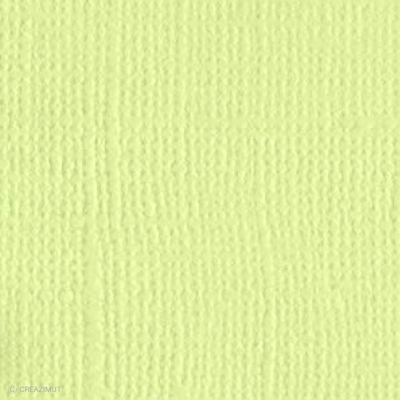 Papier Bazzill texturé toile scrapbooking et loisirs créatifs Aloe Vera - 21 couleurs - ARTEMIO 11110506