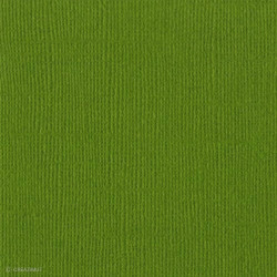 Papier Bazzill texturé toile scrapbooking et loisirs créatifs Hillary - 21 couleurs - ARTEMIO 11110511