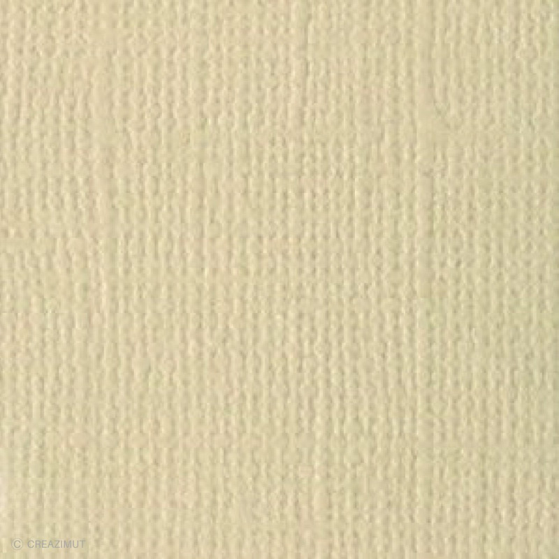 Papier Bazzill texturé toile scrapbooking et loisirs créatifs Twig - 21 couleurs - ARTEMIO 11110942