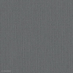 Papier Bazzill texturé toile scrapbooking et loisirs créatifs Thunder - 21 couleurs - ARTEMIO 11111076