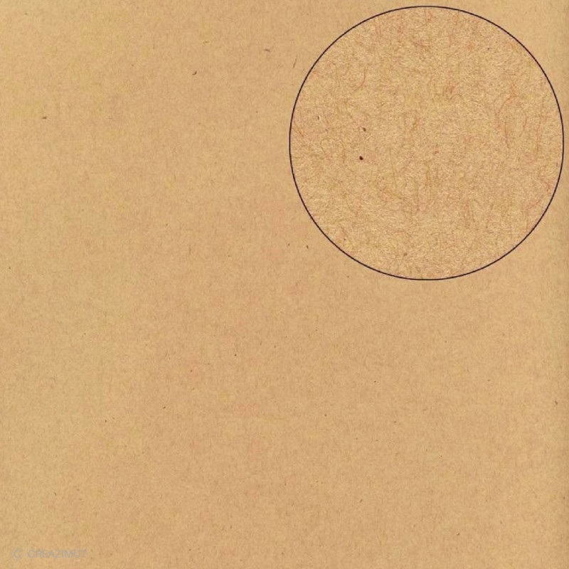 Papier Scrapbooking Bazzill kraft 30,5 x 30,5 cm 11110960 ARTEMIO