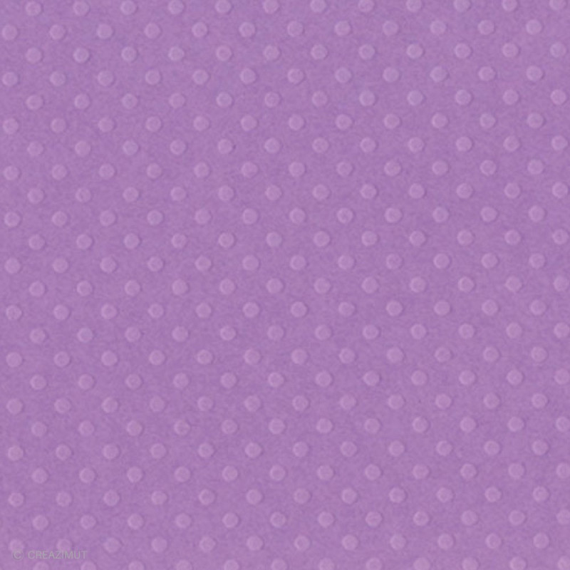 Papier embossé Bazzill scrapbooking et loisirs créatifs Grape Jelly - 14 couleurs - 11110698 ARTEMIO