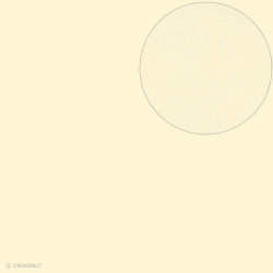 Feuille Bazzill texturée cuir CREME - 13020053 ARTEMIO