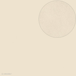 Feuille Bazzill texturée cuir BEIGE - 13020054 ARTEMIO
