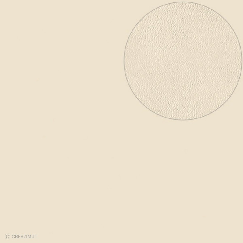 Feuille Bazzill texturée cuir BEIGE - 13020054 ARTEMIO