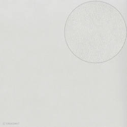 Feuille Bazzill texturée cuir GRIS - 13020059 ARTEMIO